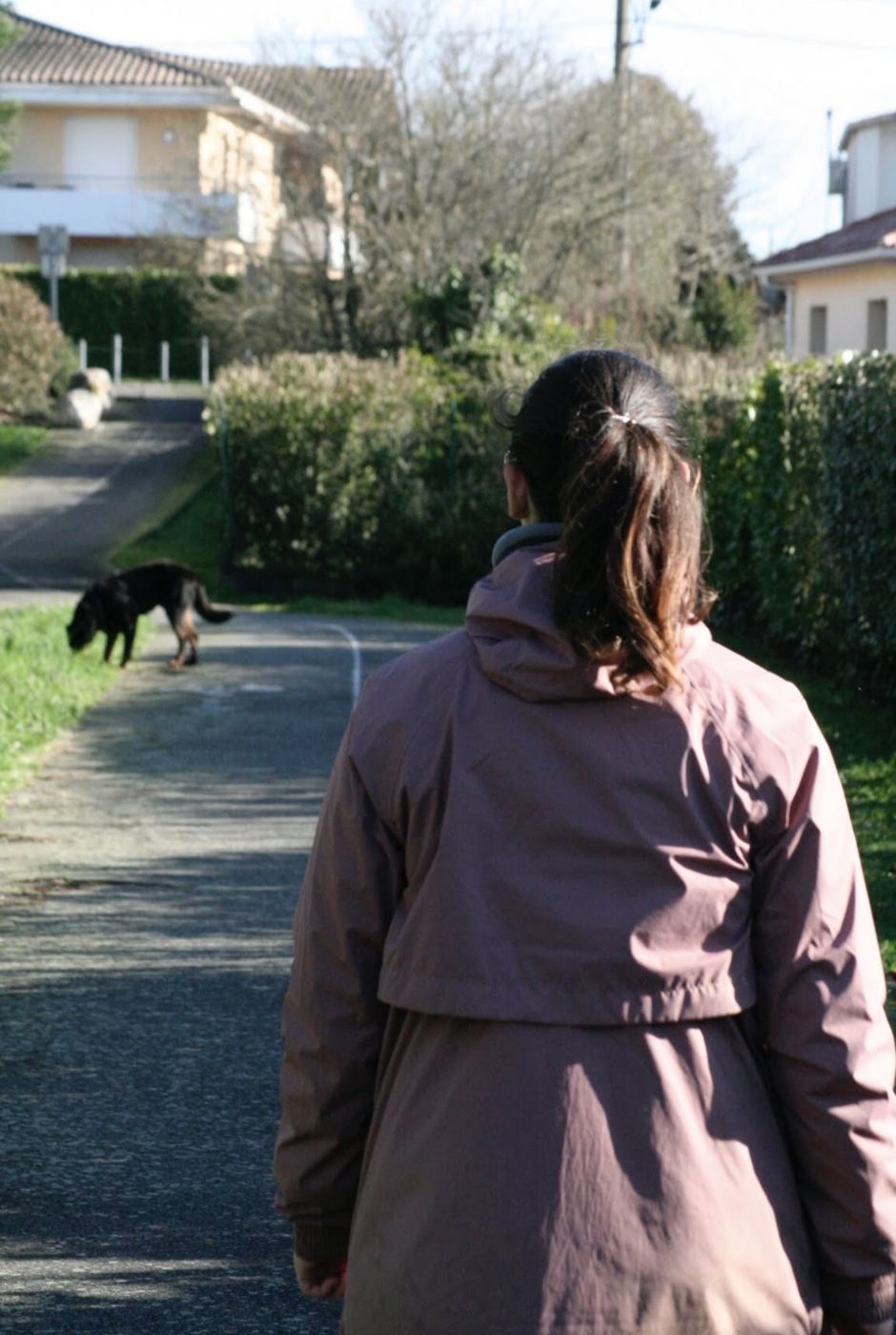 Balade en silence derrière un chien sur un chemin