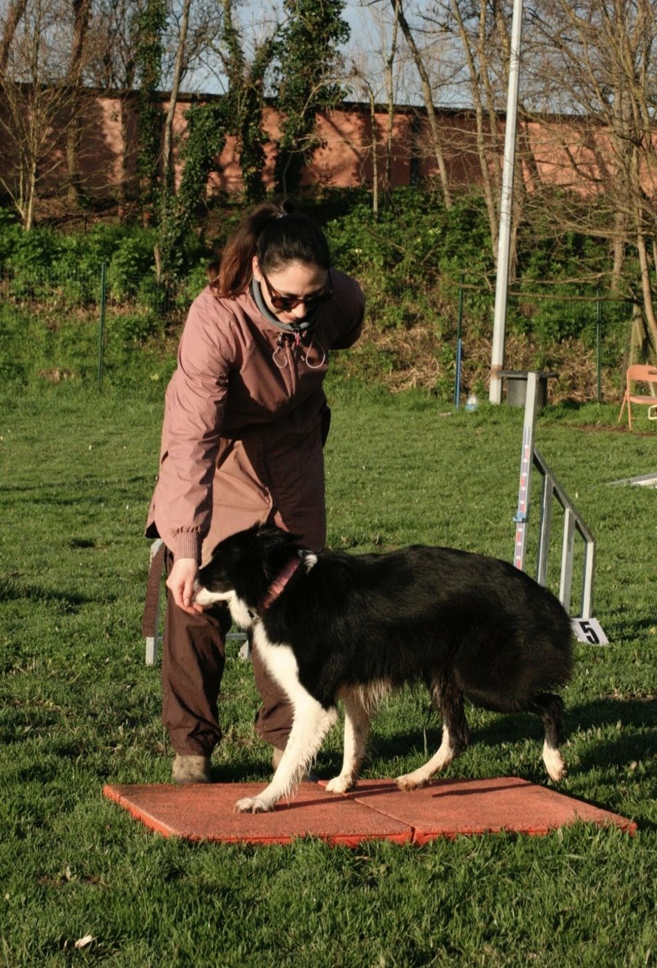 Erine guide un chien sur un tapis d'exercice